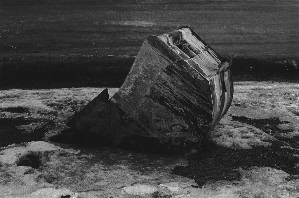 Claudia Rankine Visits Purchase College