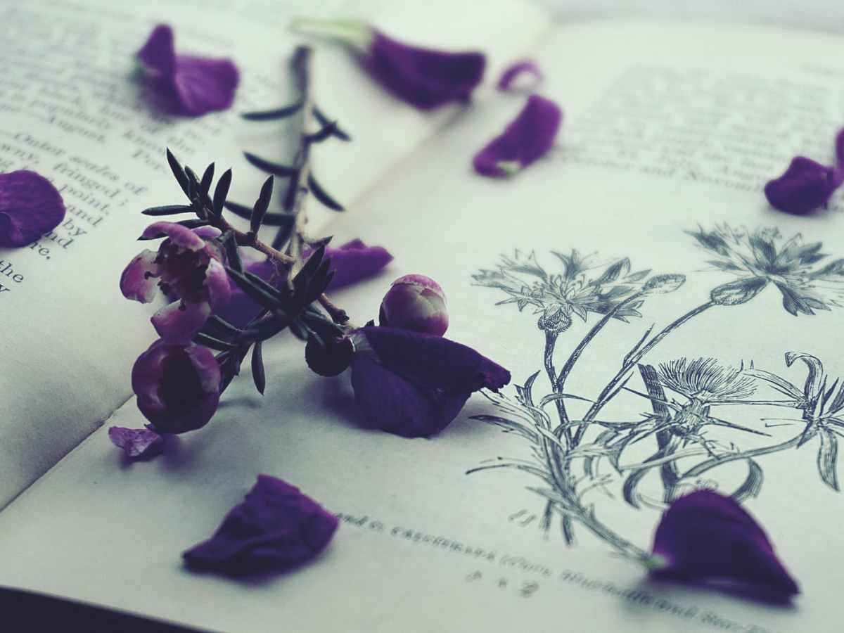 Between Alaska and Here: A Micro-Interview with Carlie Hoffman