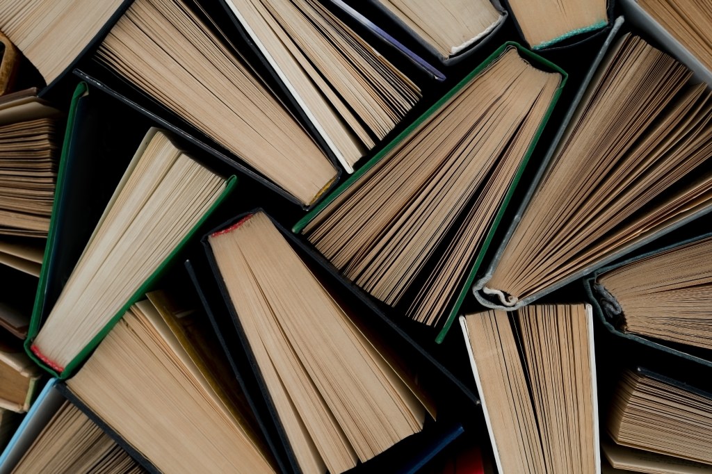 BookTube and BookTok: How Online Book Communities Have Changed the Landscape of&nbsp;Reading