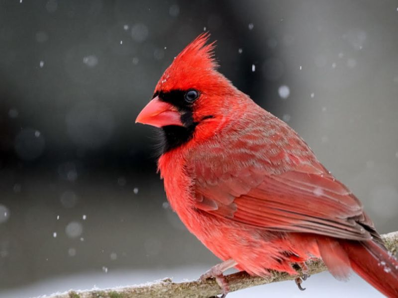 Exorcism Through Writing