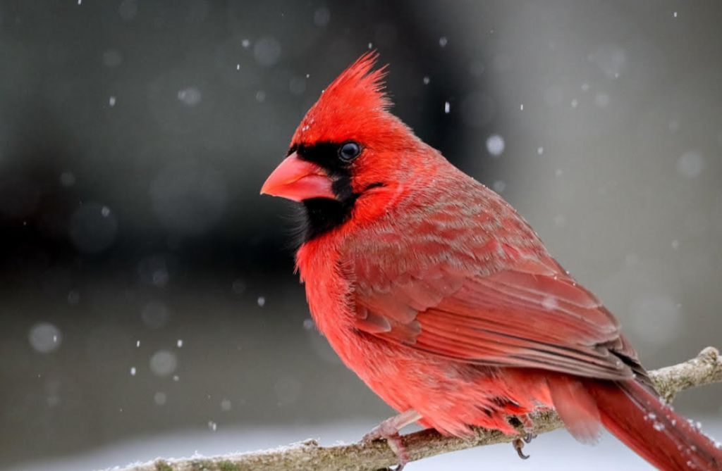 Exorcism Through Writing